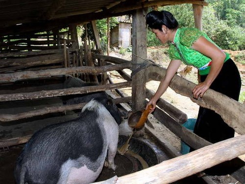 Vitality of Dien Bien today - ảnh 3